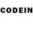 COCAIN 97% Mordechai Wolkenbruch