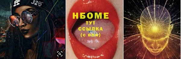 стафф Новодвинск