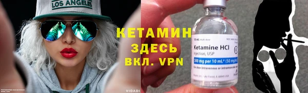 стафф Новодвинск