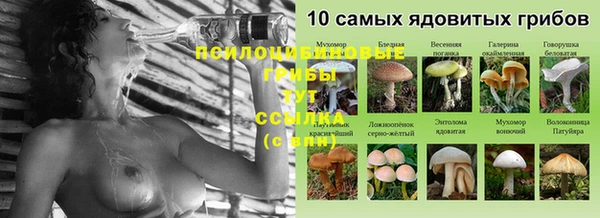 ешки Новокубанск