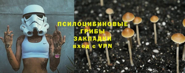ешки Новокубанск