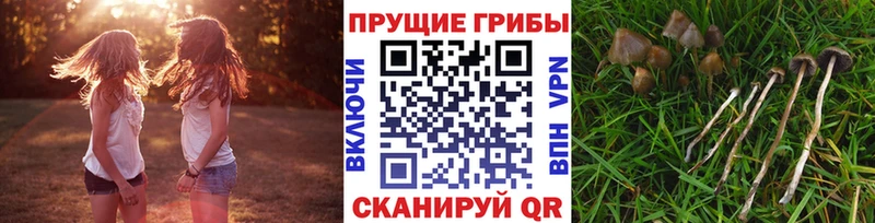 Галлюциногенные грибы ЛСД  Лангепас 