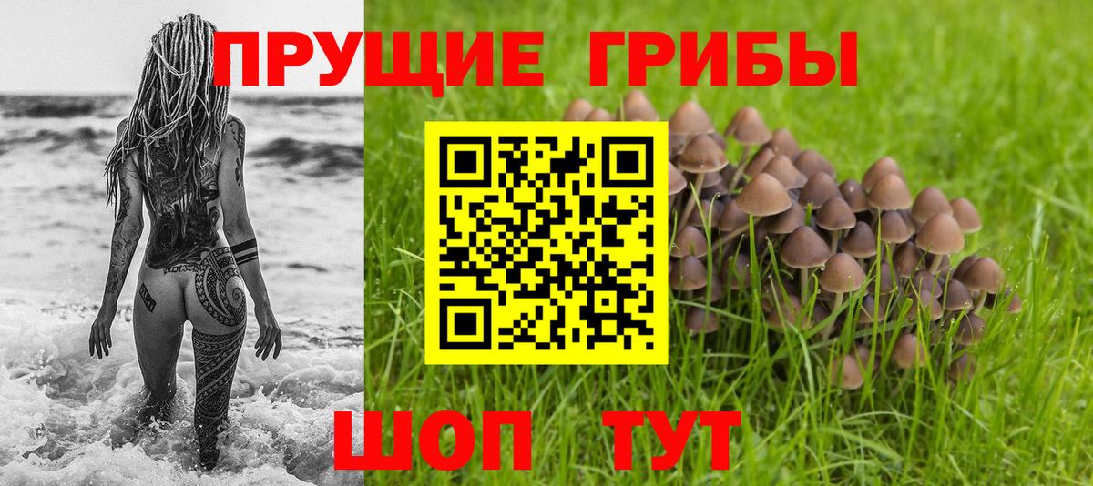 Псилоцибиновые грибы Psilocybe  где можно купить наркотик  Псилоцибиновые грибы MAGIC MUSHROOMS  Лангепас 