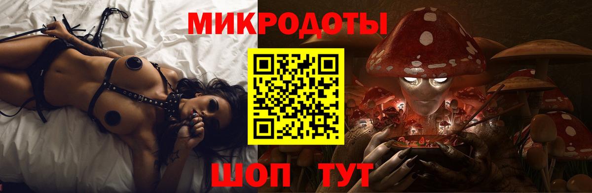 Галлюциногенные грибы Psilocybine cubensis Лангепас